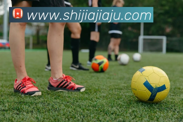 奖项图2
